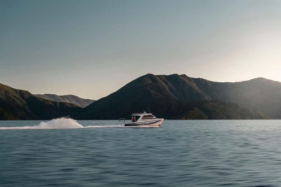 Queen Charlotte Sound Cruise with Lunch - The ride to Endeavour Inlet