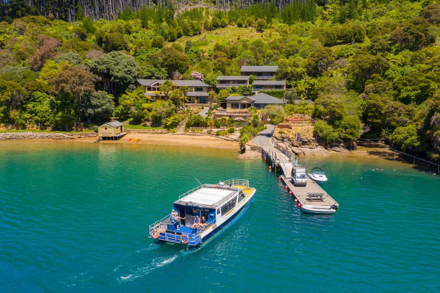 Queen Charlotte Sound: Lochmara Cruise & Explore 9-2.45 - Key points to know before you book