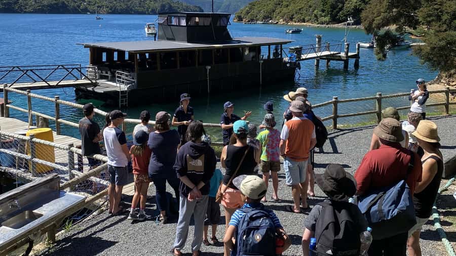Queen Charlotte Sound: Lochmara Cruise & Explore 9-2.45 - Making sense of the 11-acre Lochmara grounds