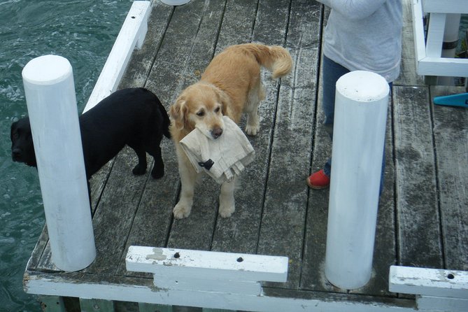 Queen Charlotte Sound Mail Boat Cruise - Choosing your seat and preparing for the weather