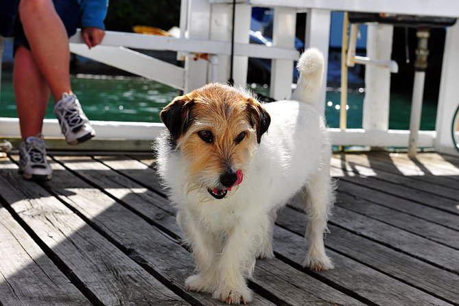 Queen Charlotte Sound Mail Boat Cruise - Who will enjoy this cruise most