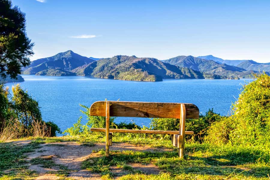Queen Charlotte Track: Cruise & Self-Guided Hike from Picton - The shorter route: Furneaux Lodge to Punga Cove