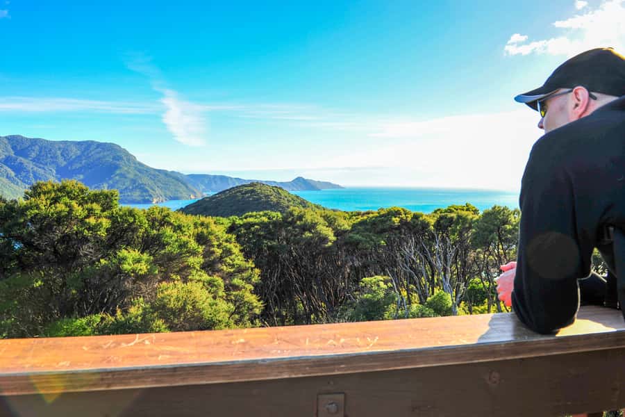 Queen Charlotte Track: Cruise & Self-Guided Hike from Picton - Practical packing advice for this exact walk