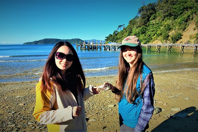 Queen Charlotte Track - Ultimate one Day Walk and Cruise - Who will get the most from this day
