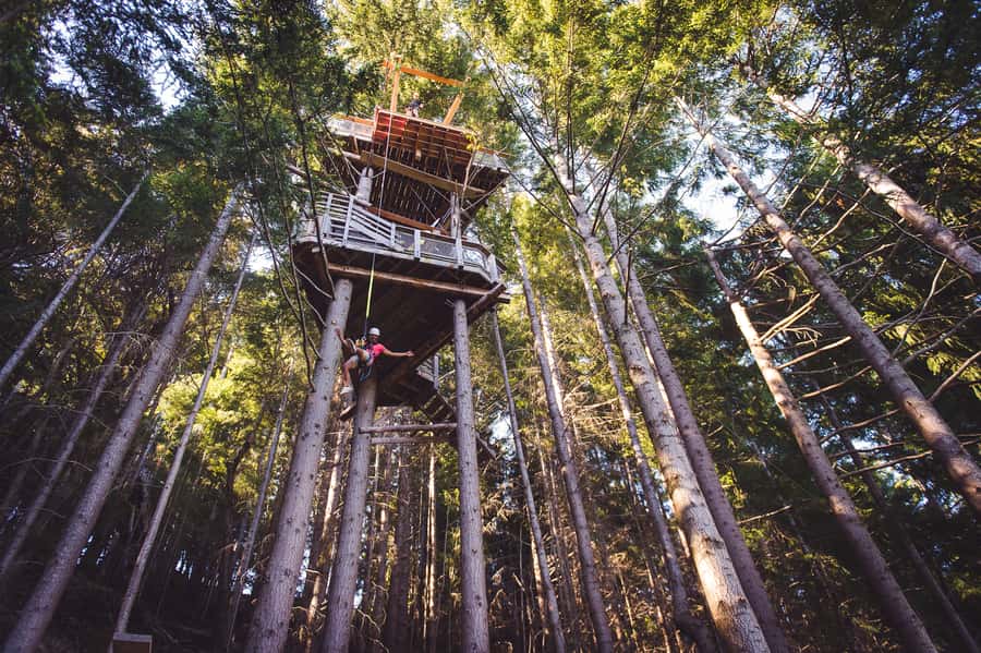 Queenstown: 1-Hour Zipline Tour with 2-Lines & 21-Meter Drop - The 10-minute walk back on the Tiki Trail