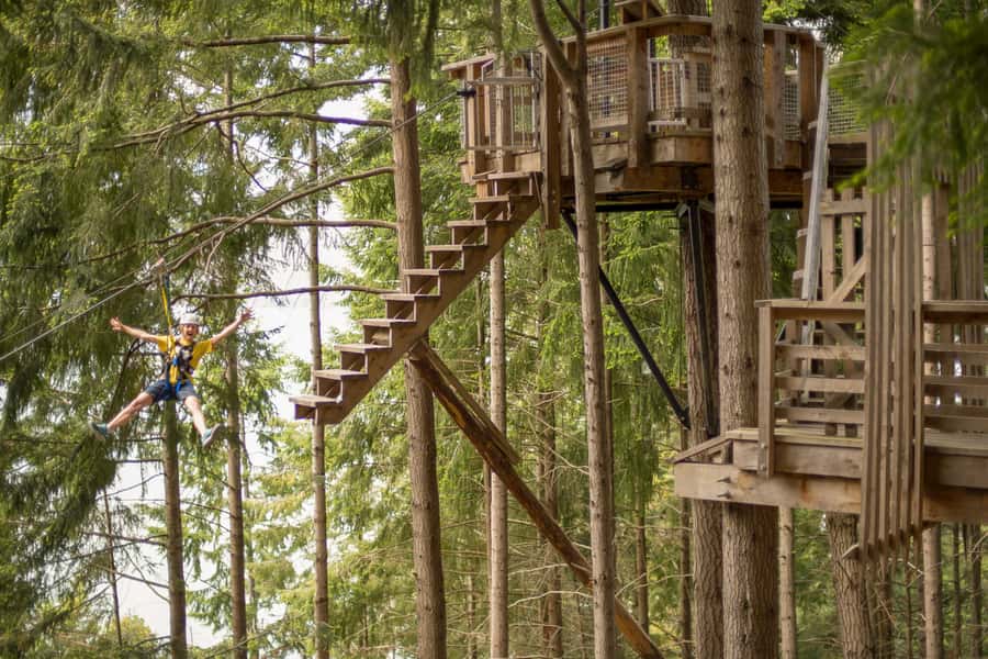 Queenstown: 3-Hour Zipline Adventure with 6-Lines - Six lines that grow faster and higher