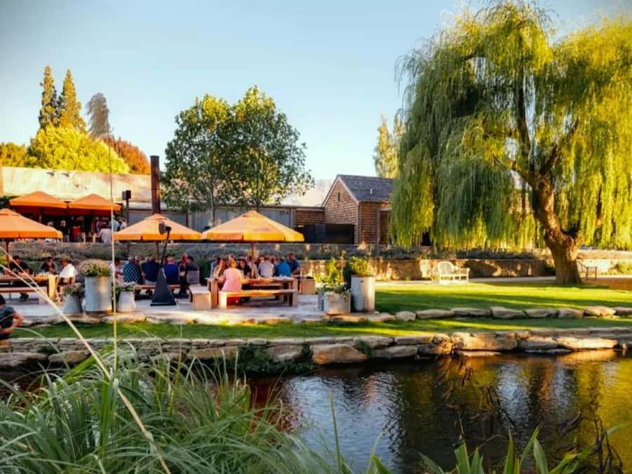 Queenstown, Arrowtown, Gibbston: Flexible Wine Hopper Tours - Who should book the Wine Hopper