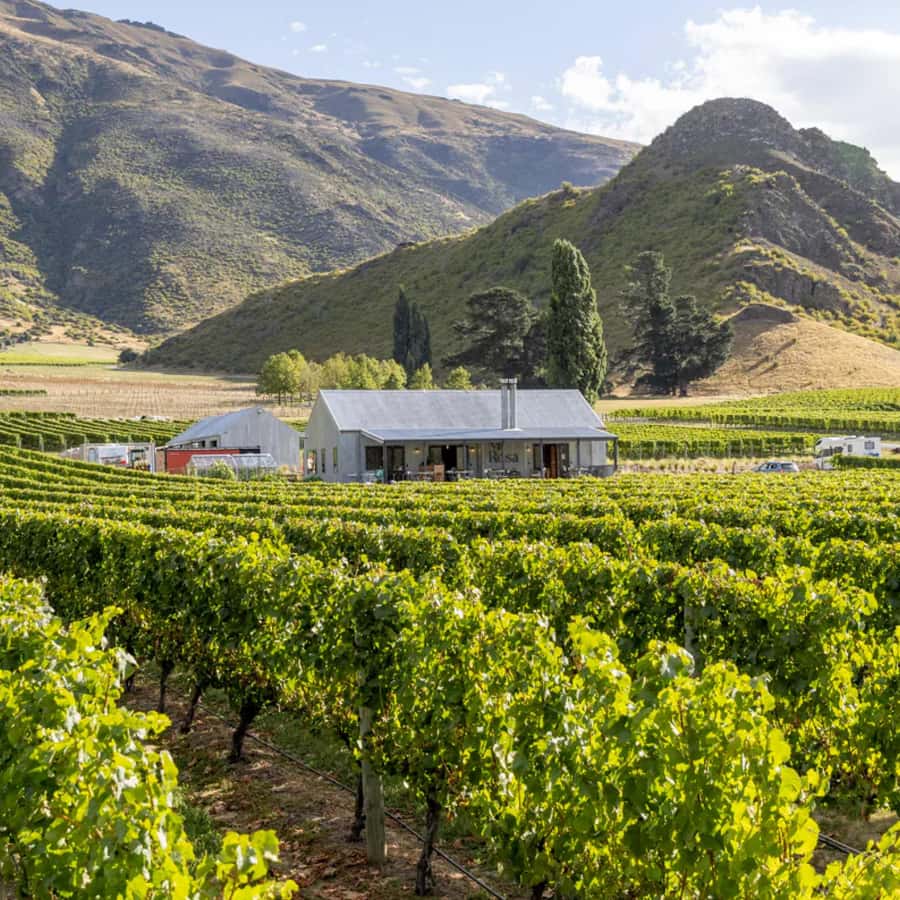 Queenstown, Arrowtown, Gibbston: Flexible Wine Hopper Tours - Gibbston Valley and the Kawarau River