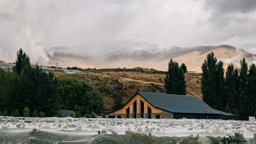 Queenstown: Classic Central Otago Wine Tasting Experience - Why the rare bottles add value