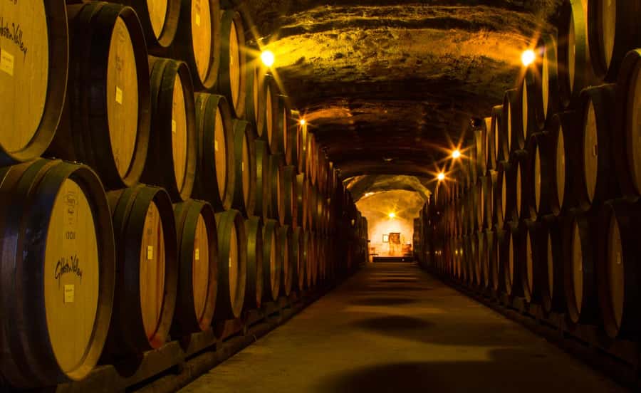 Queenstown: Classic Wine Tour - The cheeseboard makes the tasting more satisfying