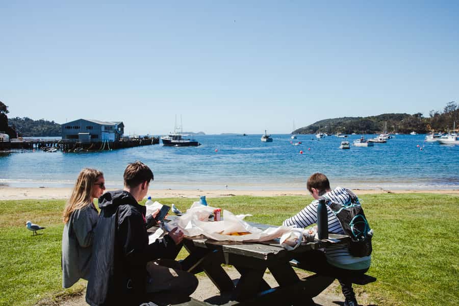 Queenstown: Day Trip to Stewart Island via Scenic Flight - Who should book this Stewart Island day trip?