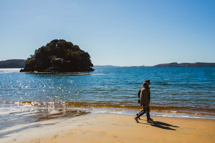 Queenstown: Day Trip to Stewart Island via Scenic Flight - Ulva Island offers a focused wildlife outing