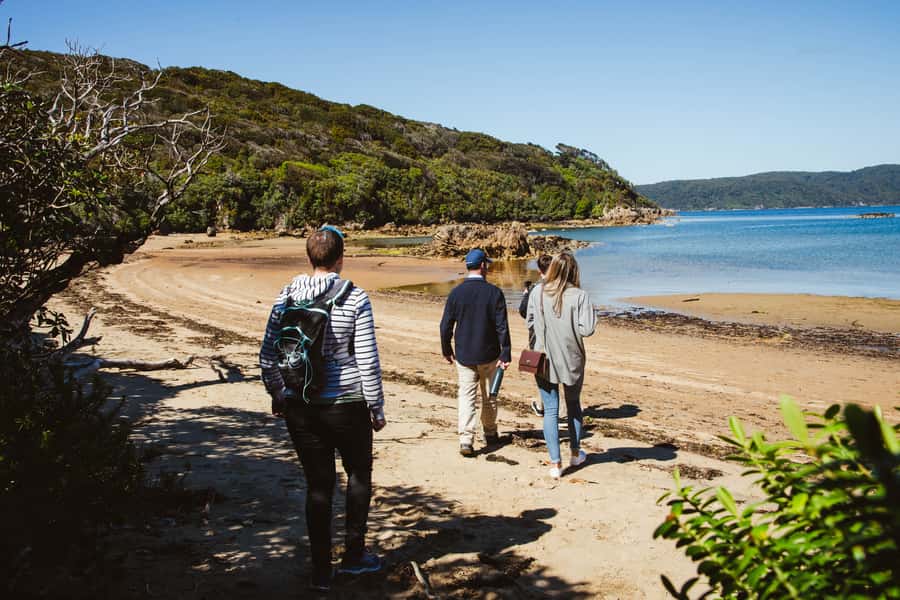Queenstown: Day Trip to Stewart Island via Scenic Flight - What the $459 price really covers