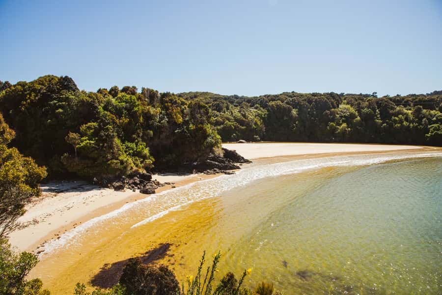 Queenstown: Day Trip to Stewart Island via Scenic Flight - Weather, timing, and practical details