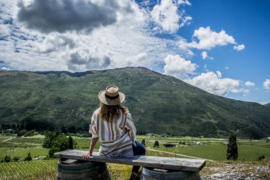 Queenstown & Gibbston Valley: Hop-On Hop-Off Wine Tours - Why this route works better than a fixed wine tour