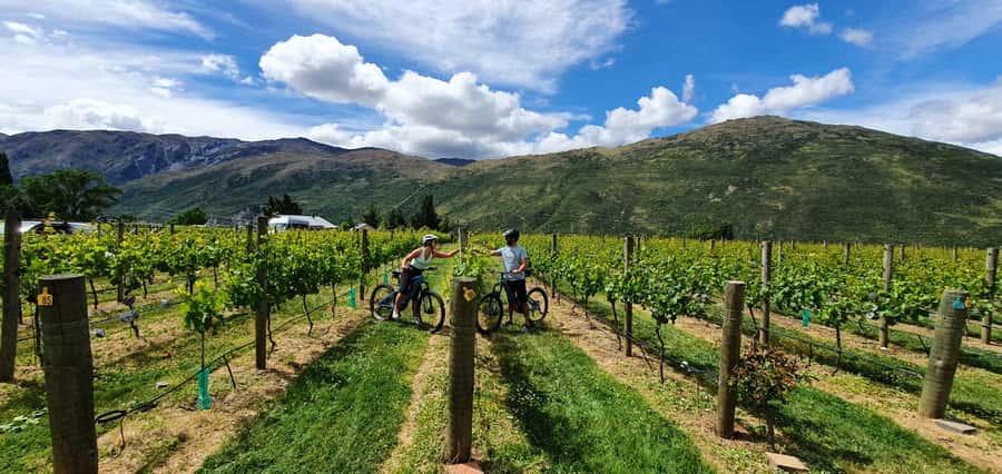Queenstown: Guided E-Bike Tour with Winery Visits & Tastings - Why this ride works so well in Queenstown
