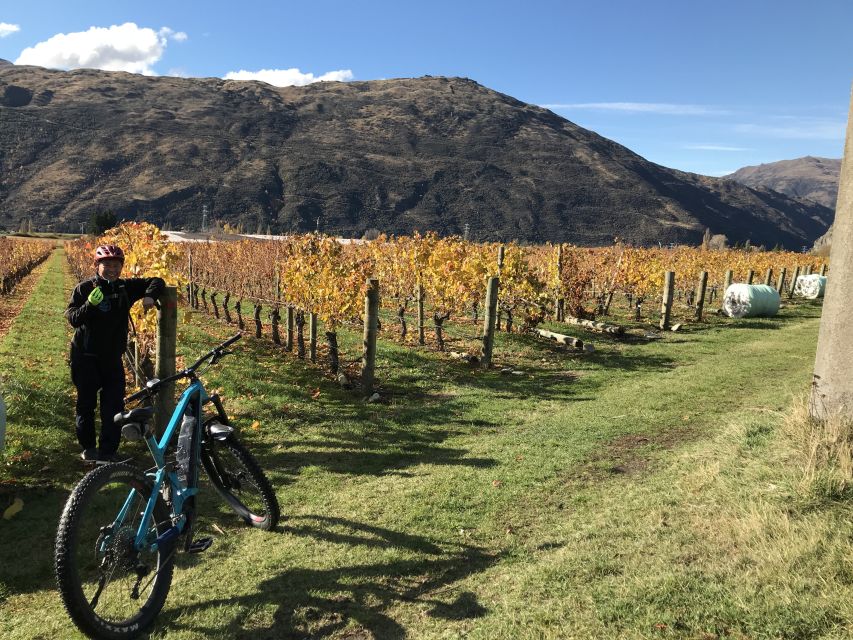 Queenstown: Guided E-Bike Tour with Winery Visits & Tastings - Who should book this experience?