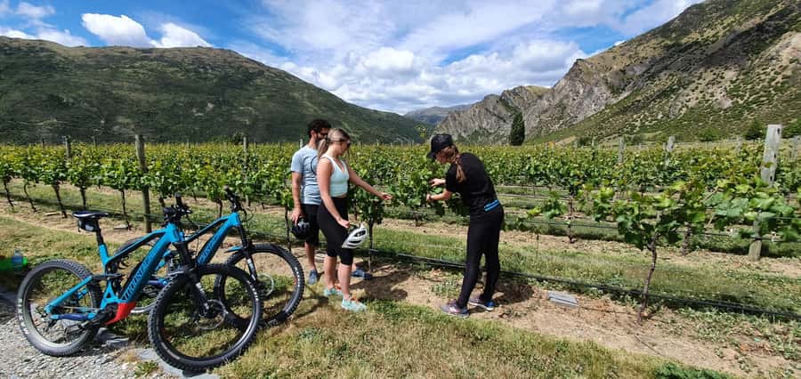 Queenstown: Guided E-Bike Tour with Winery Visits & Tastings - From Frankton to historic Arrowtown