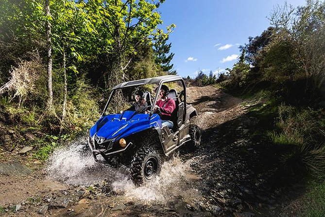 Queenstown Guided Self-Drive Buggy Tour - Why this buggy tour works so well in Queenstown