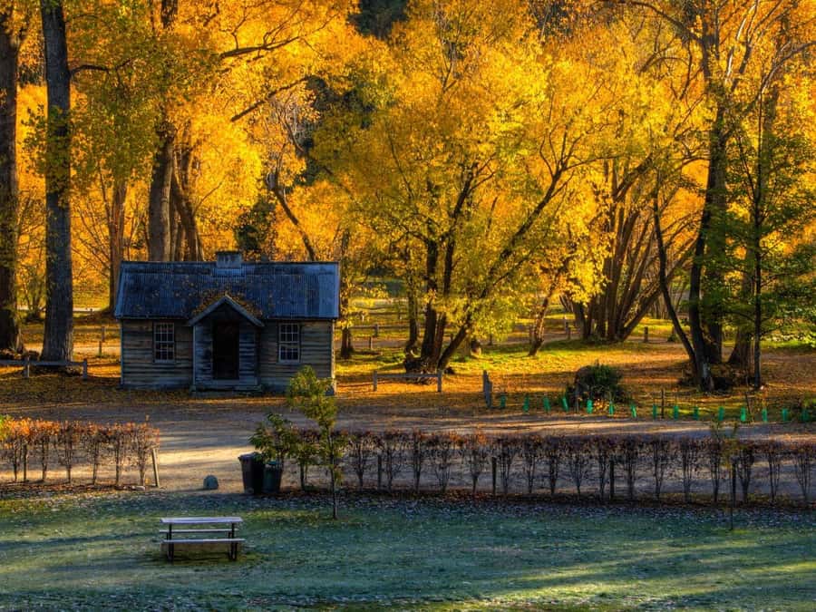 Queenstown: Highlights Tour with Wine Tasting - Gibbston Valley Winery for a 40-minute tasting