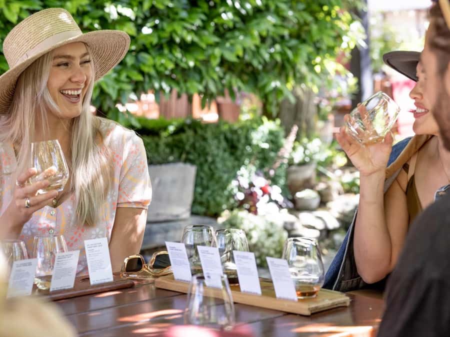 Queenstown: Highlights Tour with Wine Tasting - What the $101 price really buys you