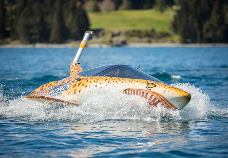 Queenstown: Hydro Attack Shark Ride - Why the private pilot matters