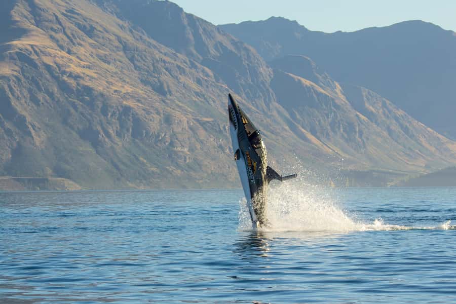 Queenstown: Hydro Attack Shark Ride - What happens during the 15-minute ride
