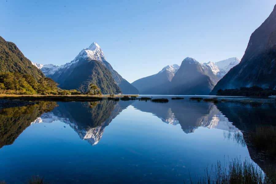 Queenstown: Milford Sound Cruise & Helicopter Alpine Tour - Key points to know before booking