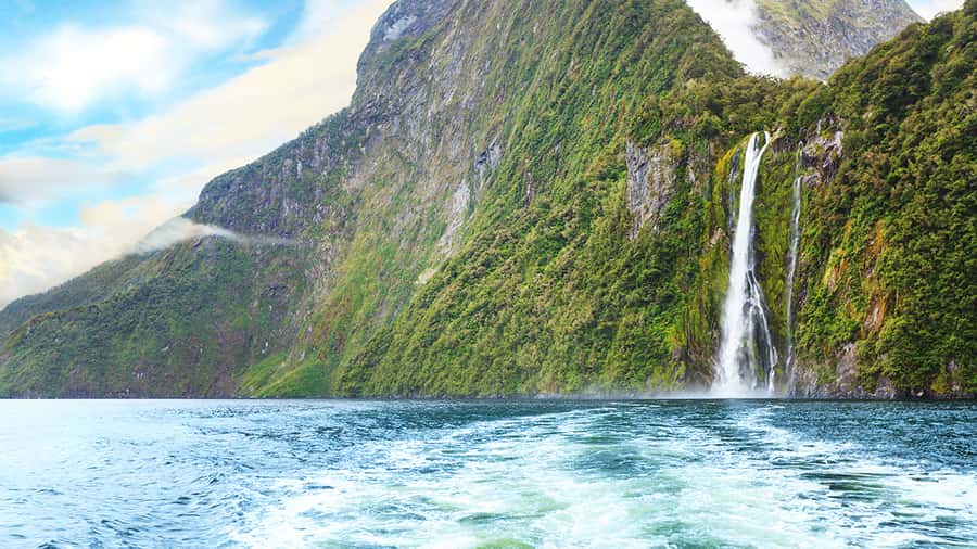 Queenstown: Milford Sound Small-Group Tour w Cruise & Lunch - Is $208 a fair price?