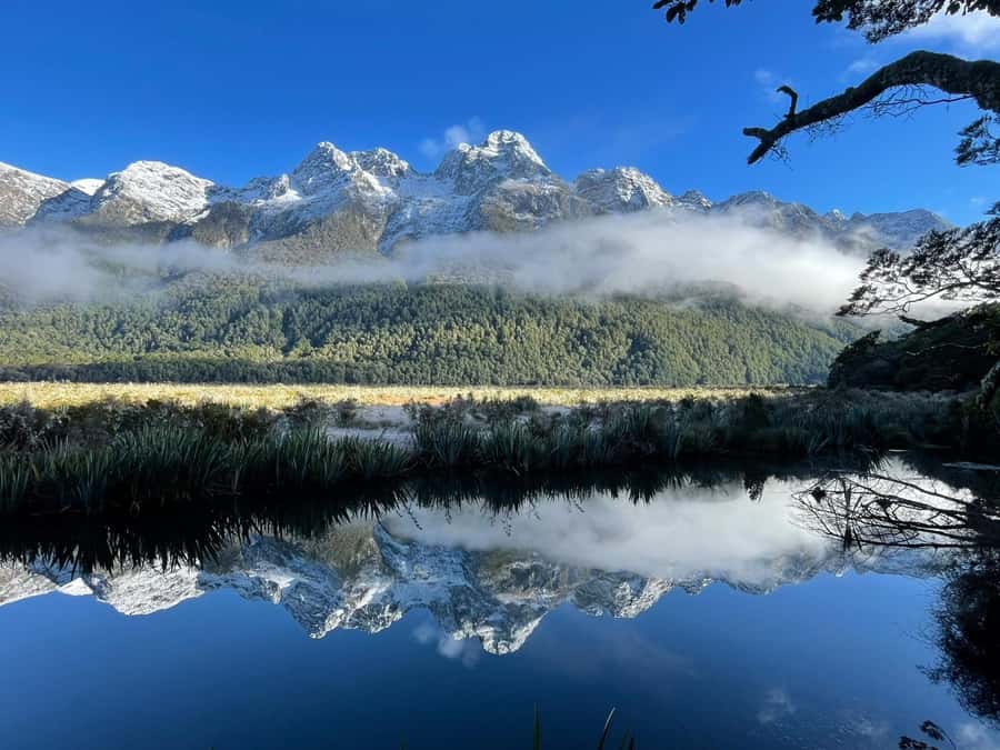 Queenstown: Milford Sound Small-Group Tour w Cruise & Lunch - Eglinton Valley and Mirror Lakes slow the morning down