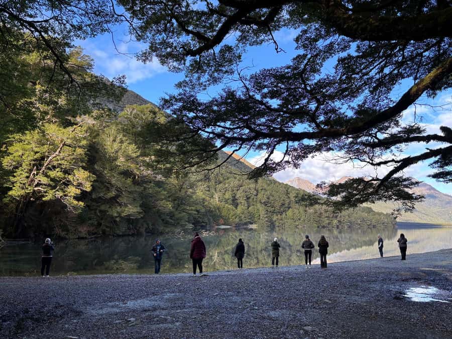 Queenstown: Milford Sound Small-Group Tour w Cruise & Lunch - Homer Tunnel marks the approach to the fjord