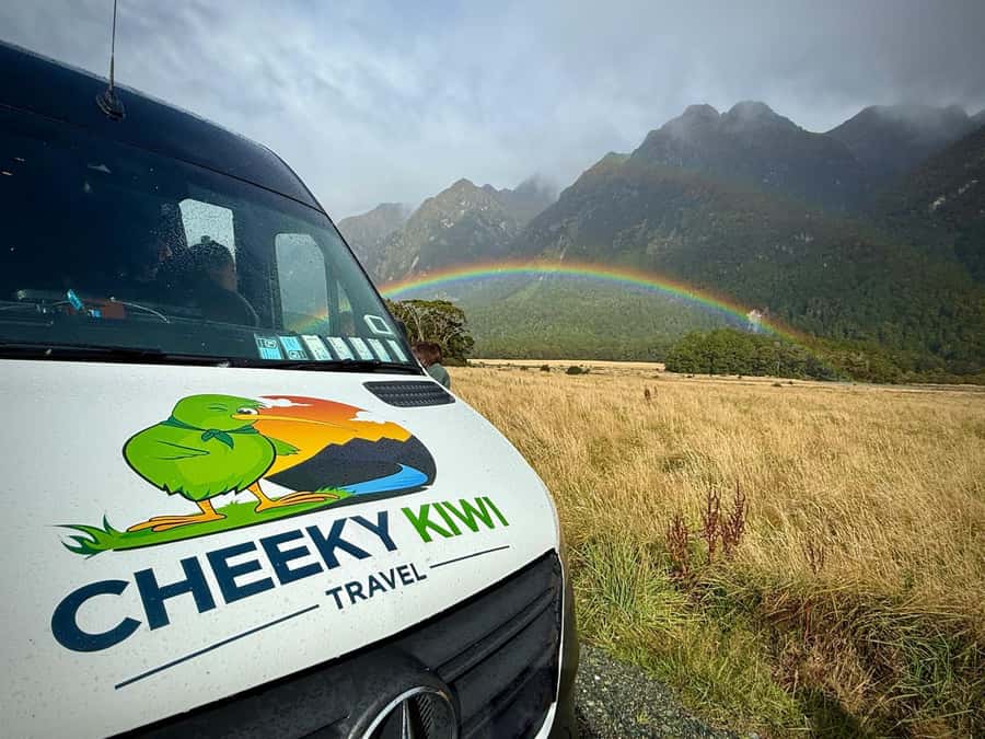 Queenstown: Milford Sound Small-Group Tour w Cruise & Lunch - The 105-minute Milford Sound cruise