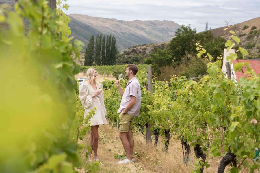 Queenstown: Original Premium Half-Day Gibbston Wine Tour - At a glance