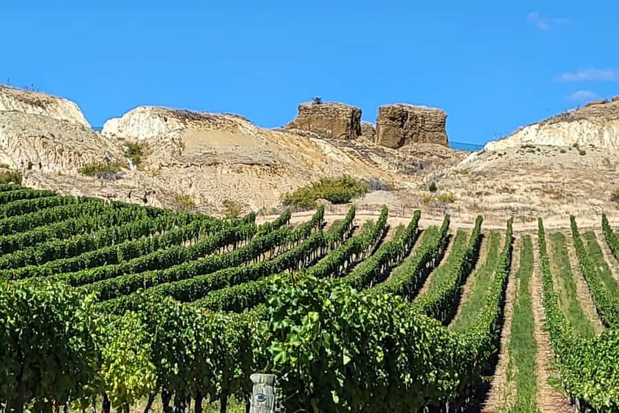 Queenstown: Premium Full-Day Central Otago Wine Tasting Tour - Bannockburn brings the day to its final tasting