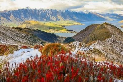 Queenstown Private Airport Transfer: Door to Door Service