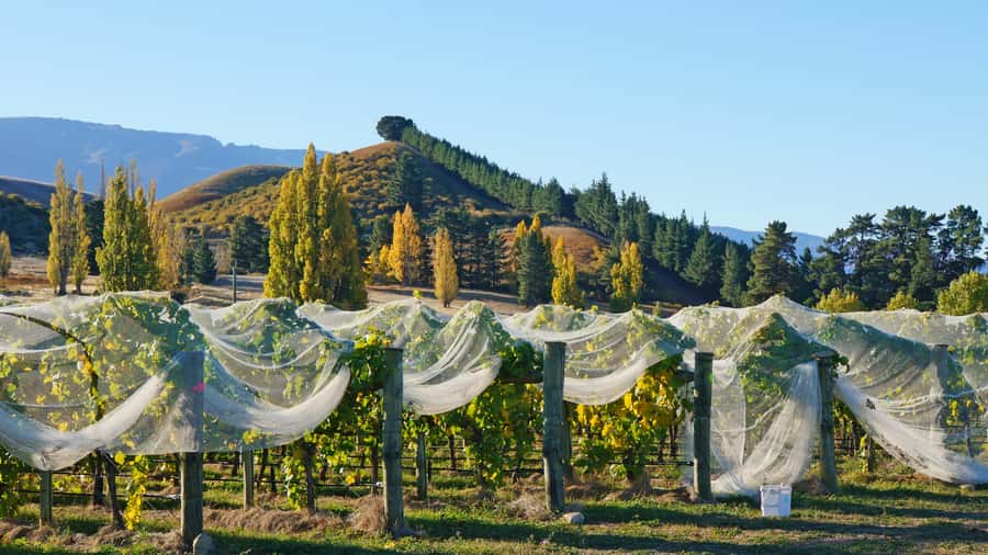 Queenstown: Private Day Trip to Wanaka, Arrowtown & More - Lake Dunstan and the road toward Cromwell
