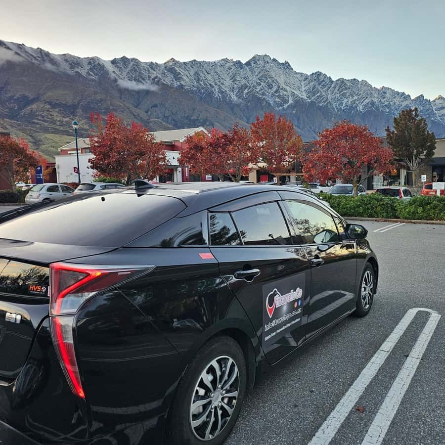 Queenstown: Private Day Trip to Wanaka, Arrowtown & More - How to plan your seven hours