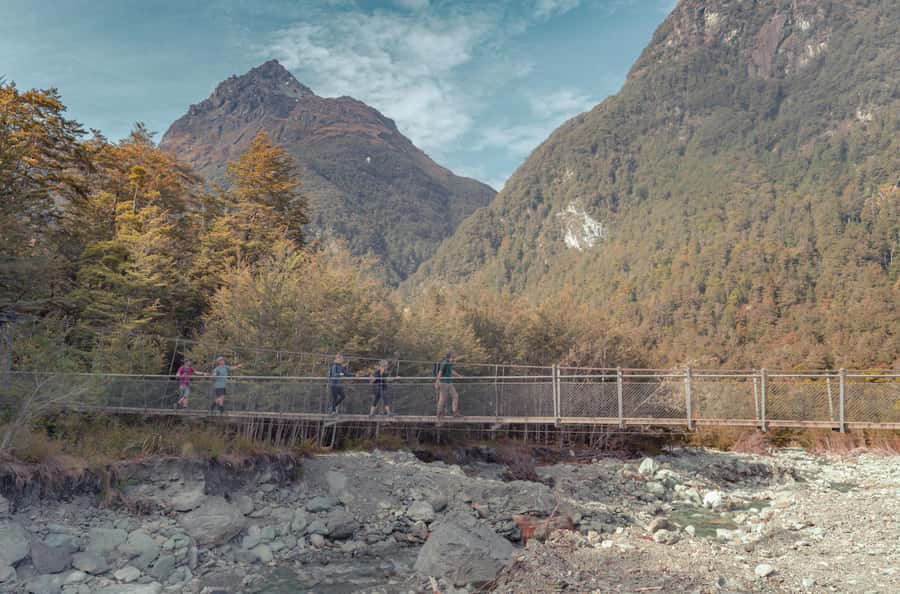 Queenstown: Routeburn Track Guided Full-Day Walk or Half Day - Choosing between 1.5 hours and seven hours on foot