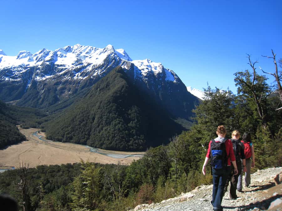 Queenstown: Routeburn Track Guided Full-Day Walk or Half Day - Entering the Routeburn beech forest