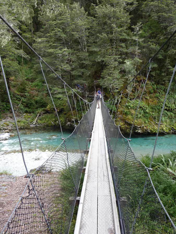 Queenstown: Routeburn Track Guided Full-Day Walk or Half Day - Is $152 good value?