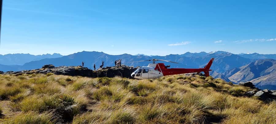 Queenstown: Scenic Alpine Heli-Flight - Key points at a glance