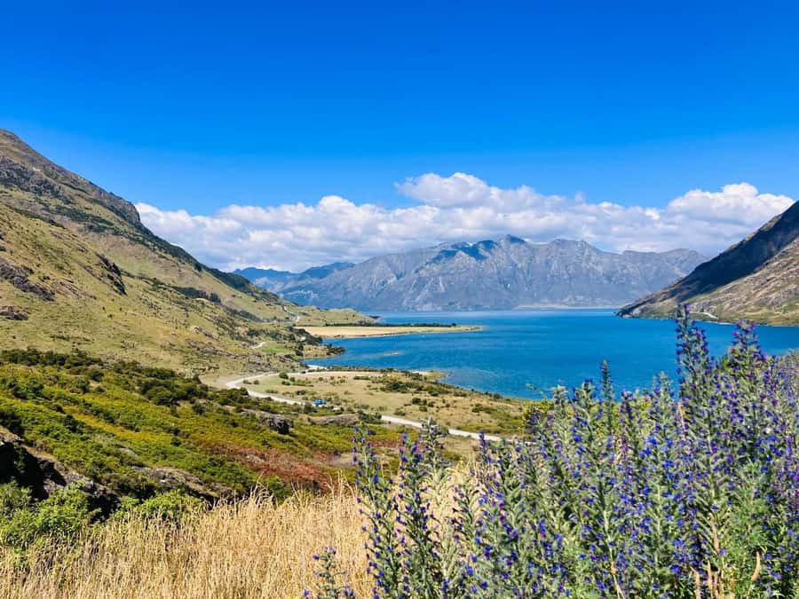 Queenstown to Christchurch via Franz Josef 2-Day Tour - Castle Hill closes the journey with limestone country