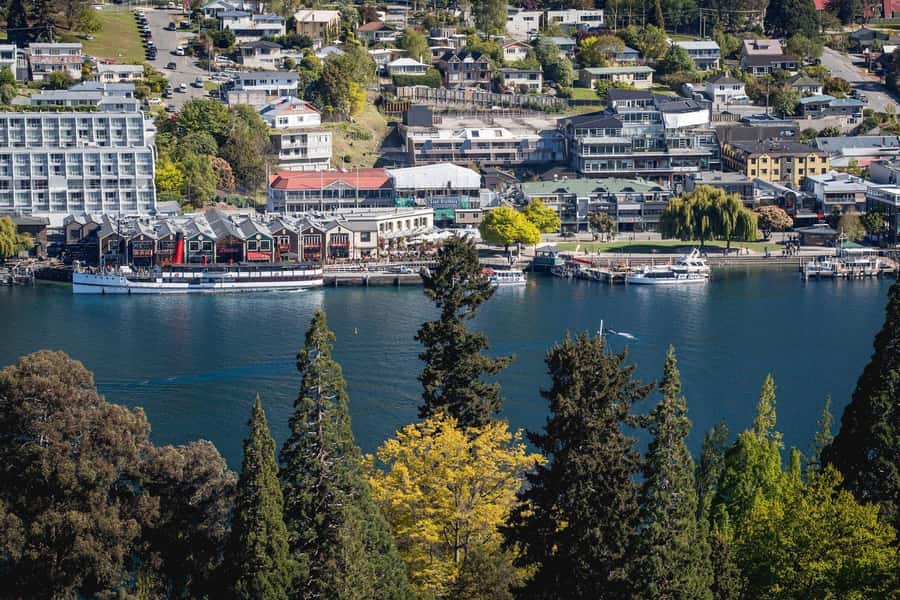 Queenstown: TSS Earnslaw Cruise of Lake Whakatipu - The engine room is the heart of the outing