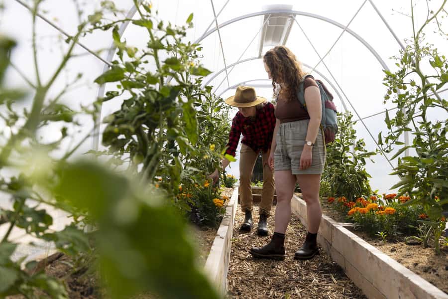 Queenstown: Walter Peak Garden to Table Experience - Should you book the Garden to Table Experience?