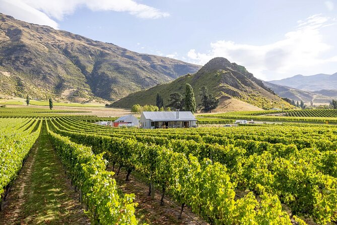 Queenstown Wine & Food Tour: Scenery, Tastings & Delicious Lunch! - Is $154.52 good value?