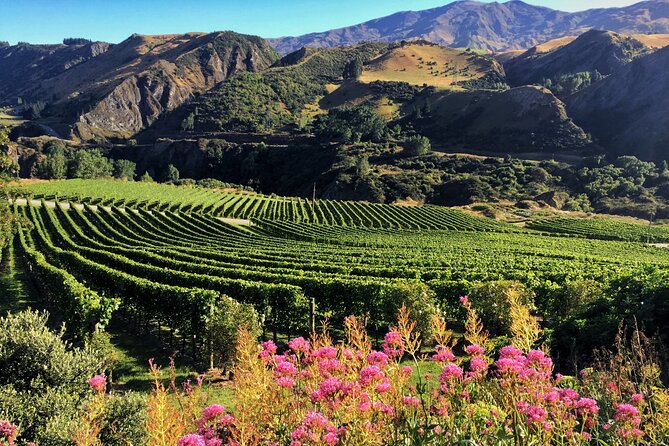 Queenstown Wine Tour - Wine, food, beer, and gin without a fixed script