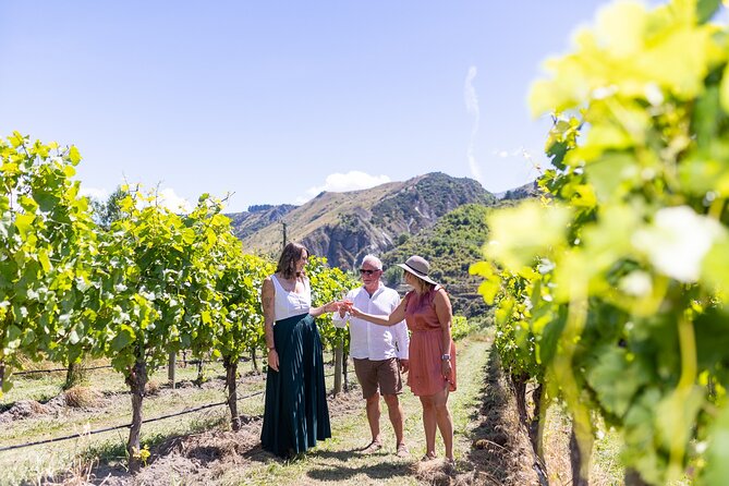 Queenstown Wine Tour - Scenery and the value of not driving