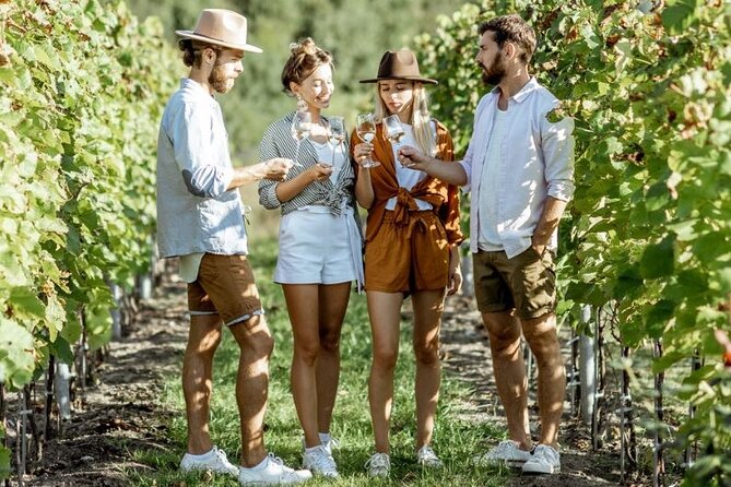 Queenstown Wine Tour - Gibbston Valley Cave | Kinross | Amisfield - A five-hour introduction to Central Otago wine