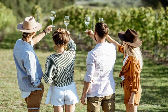 Queenstown Wine Tour - Gibbston Valley Cave | Kinross | Amisfield - The scenery is part of the value