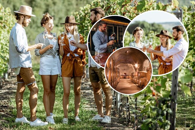 Queenstown Wine Tour - Gibbston Valley Cave | Kinross | Amisfield - Why Gibbston Valley is a strong first stop